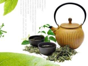 茶葉公司