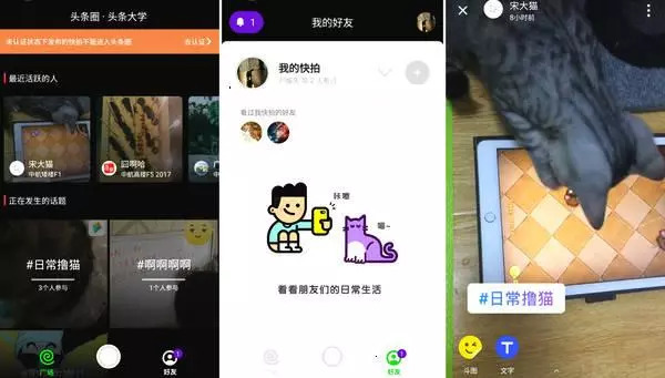 獨家解讀頭條的社交布局：不止飛聊 重磅首曝光